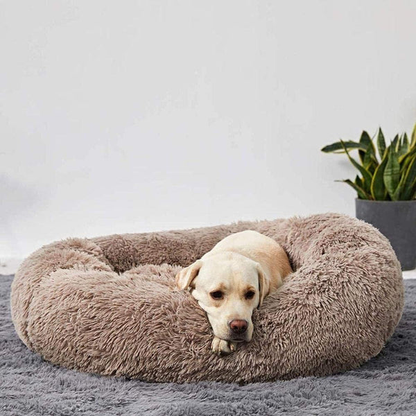 Peaceful Pup Calming Dog bed