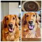 Canvas Magic: Turning Your Photos into Art