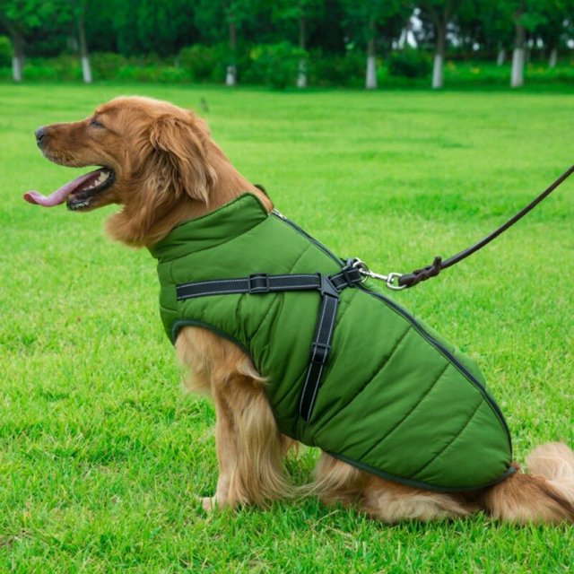 Cozy Waterproof Fleece Jacket for Dogs