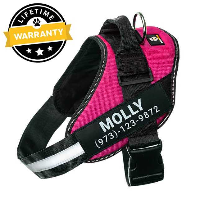 Personalized No Pull Dog Harness