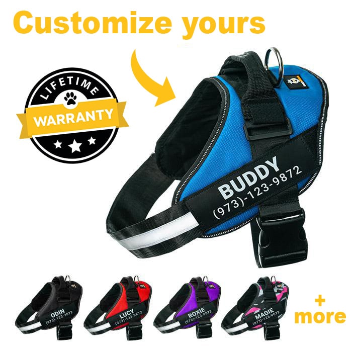 Personalized No Pull Dog Harness